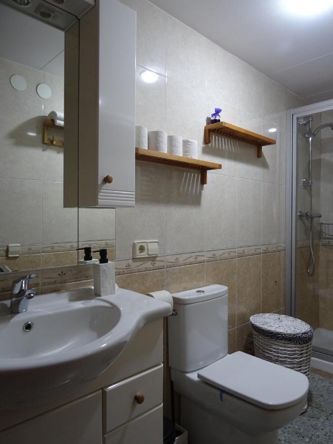Pis Acollidor Amb Llar De Foc, Al Centre Camprodon Apartment Exterior photo