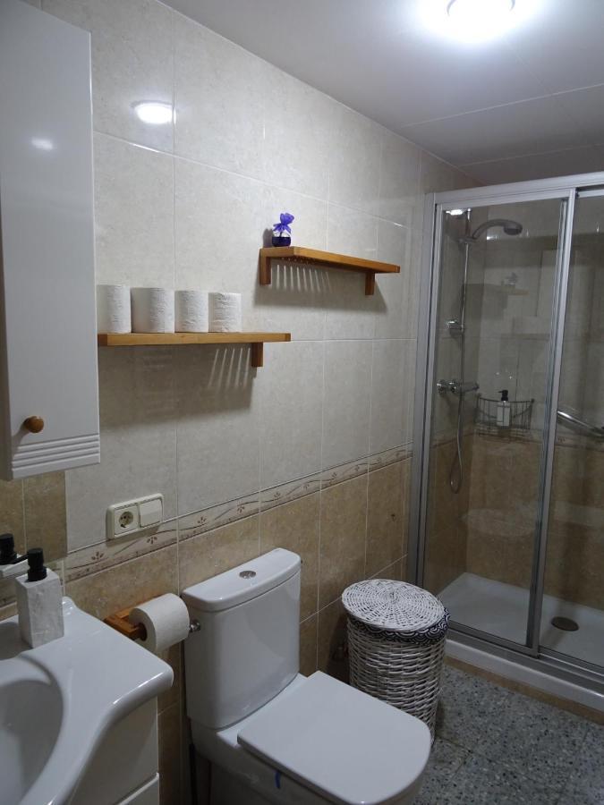 Pis Acollidor Amb Llar De Foc, Al Centre Camprodon Apartment Exterior photo
